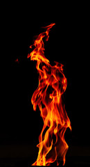Fire flame isolated on black background. Fire soars up.