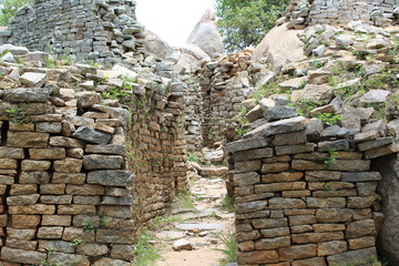 Fototapeta na wymiar old ruins in Zimbabwe