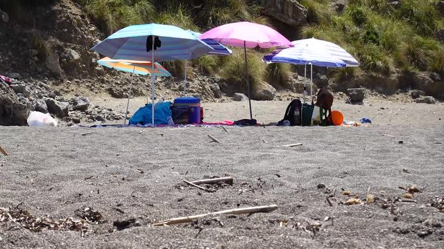A goat stealing and eating foor from people o na beach.
