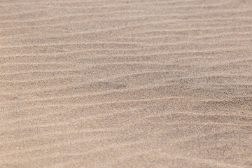 Fototapeta na wymiar sand drawing on the beach