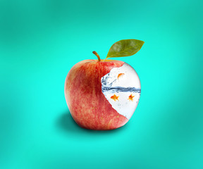 apple with gold fish creation