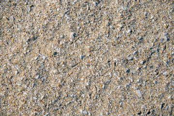 Beach of finely destroyed shells