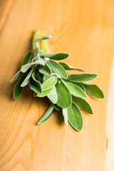 Bunch of fresh green sage leaves on the rustic background. Selective focus.