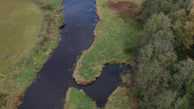 Autumn time fresh  river bends and groves, aerial view