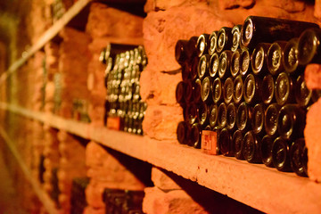 Red wine bottles in a cellar