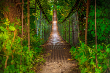 Suspended iron bridge goes into the distance. Iron bridge in the forest