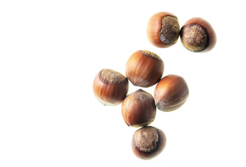Hazelnuts nuts isolated on a white background