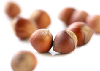 Hazelnuts nuts isolated on a white background