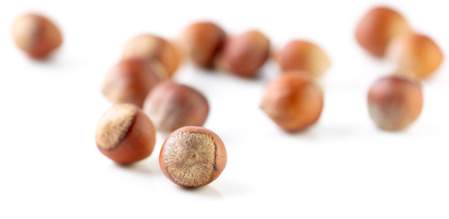 Hazelnuts nuts isolated on a white background