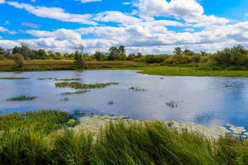 Summer landscape with beautiful river, green trees and blue sky