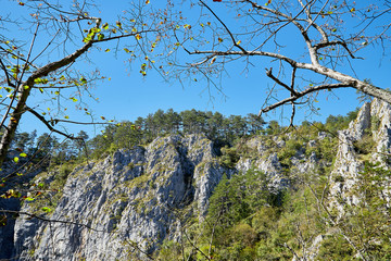 Stone tops of mountains with green trees
