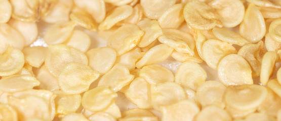 Paprika seeds as a background