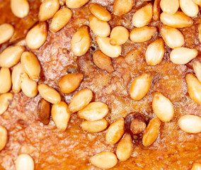 Sesame seeds on a brown crust of bread