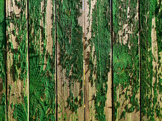 Old wooden boards on a fence painted with green paint.