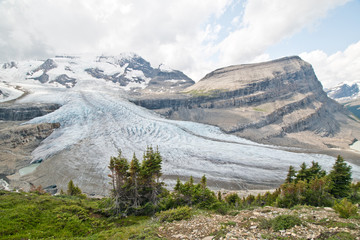 Hiking in Snowbird pass trail in Mt. robson provincial park
