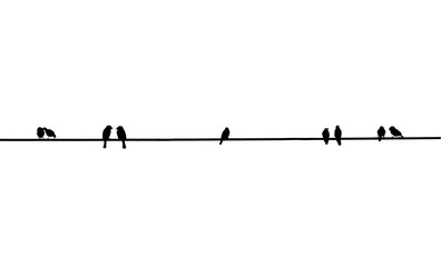 Silhouette of birds on a wire, many bird is on the electric cable, birds couple, Two birds in love