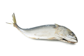 Steamed mackerel isolated on white background