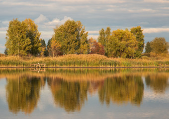 Fototapeta na wymiar autumn landscape with trees with reflection