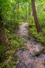 River at George Washington Carver National Monument