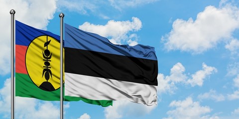 New Caledonia and Estonia flag waving in the wind against white cloudy blue sky together. Diplomacy concept, international relations.