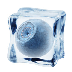 blueberry in ice cube, isolated on white background, clipping path, full depth of field