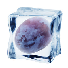 plum in ice cube, isolated on white background, clipping path, full depth of field