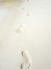 footprints on a tropical beach