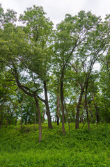 Indiana Dunes National Park
