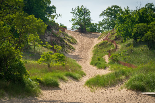 Trails At Indiana Dunes National Park