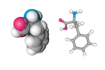 Molecular structure of l-phenylalanine. Atoms are represented as spheres with conventional color coding: carbon (grey), oxygen (red), nitrogen (blue), hydrogen (white). 3d illustration
