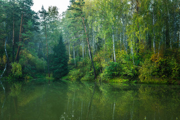 Beautiful calm lake and dark emerald forest ashore