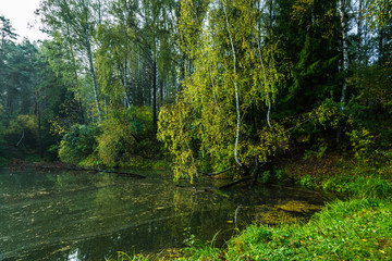 Beautiful calm lake and dark emerald forest ashore
