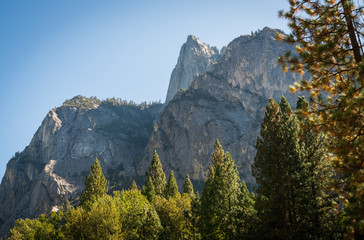 Mountain Landscape Vista at Kings Canyon National Park