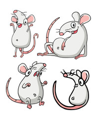 White albino rat or mouse. Set of four Illustrations isolated on flat white background for kids book or for chinese new year of the rat. Hand drawn outline pack for children