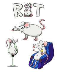 White albino rat or mouse. Set of four Illustrations isolated on flat white background for kids book or for chinese new year of the rat. Hand drawn outline pack for children