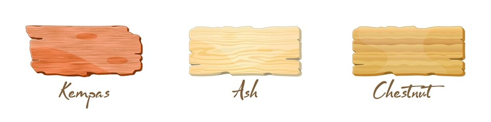 Vector set with wooden texture of kempas, ash, chestnut. Custom furniture veneer or laminate samples. Materials for construction industry. Illustration isolated on white background.