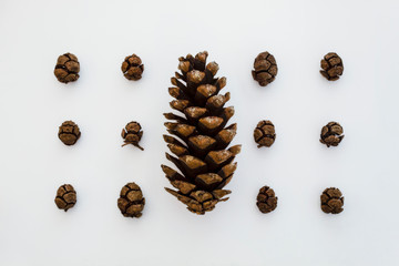 Creative Pattern Useful for Christmas and New Year Created Using Pine Cones on White Background