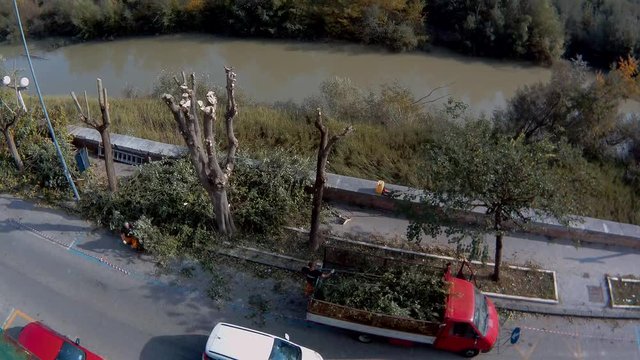 Benevento - Time lapse della raccolta rami di potatura