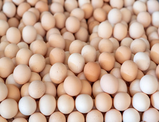 organic chicken eggs sold in market