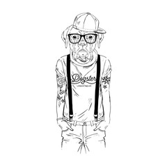 Humanized boxer breed dog with tattoo dressed up in modern city outfits. Design for dogs lovers. Fashion anthropomorphic doggy illustration. Animal wear t-shirt, jeans, cap, bandana, glasses. Hand