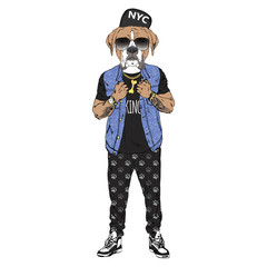 Humanized boxer breed dog dressed up in hip hop outfits. Design for dogs lovers. Fashion anthropomorphic doggy illustration. Animal wear jeans jacket, jogging pants, cap, sunglasses. Hand drawn vector