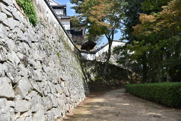 秋の天空の山城