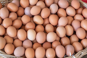 organic chicken eggs sold in market