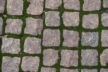 Dry pink granite pavement with green moss in  joints from above