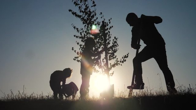 happy family of farmers a silhouette concept slow motion video. dad son and daughter children plant and lifestyle water the tree outdoors in the park. happy family little girl and boy works in the