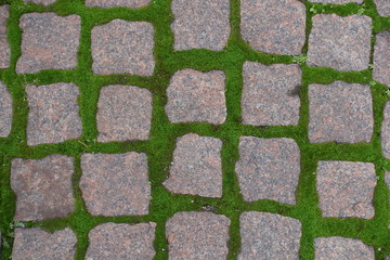 Greyish pink granite pavement with green moss in  joints from above