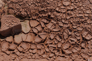 Arid Cracking Dry Ground
