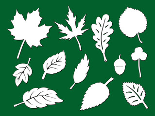 Laser cut template of leaves. Openwork foliage of maple, oak, linden, birch isolated on green background. Vector silhouette of elements. Ecology art set for wood carving, paper cut, stamp for die cut.