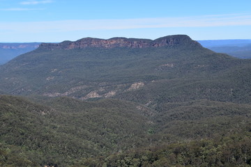 Fototapeta na wymiar Blue Mountain in Sydney, Australia
