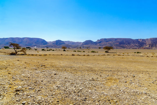 Wadi Paran Nature reserve, in the Negev Desert